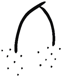 Image of the occurrence